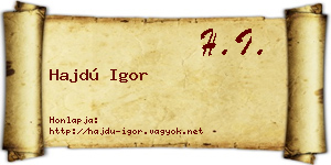 Hajdú Igor névjegykártya